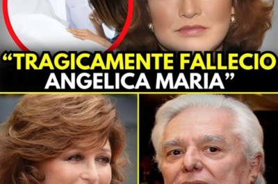 ¡Desgarrador y sorprendente! Angelica María en shock tras su hospitalización de urgencia. El amor de su vida finalmente sale a la luz y su confesión es tan impactante que nadie lo esperaba.👇