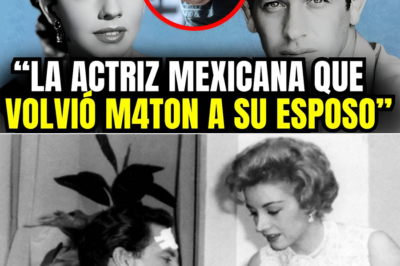 😱🔥 ¡SENSACIONAL! Evangelina Elizondo y Wolf Ruvinski: De la pasión al abandono – ¡Cómo la relación acabó en ruina y dejó a Wolf devastado! 👇👇