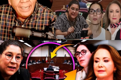 “¡Escándalo Total! ¿Por Qué Lenia Batres Está Siendo Desacreditada en la Carrera para la Presidencia de la Suprema Corte? ¡Toda la Verdad Sale a la Luz!”