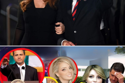 “¡Impactante! Angelica Rivera Rompe el Silencio y Revela la Verdad Oculta sobre su Ex Esposo – Lo que Dijo Deja al País en Shock”