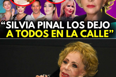 “¡BOMBAZO! Cuatro meses tras la muerte de Silvia Pinal…