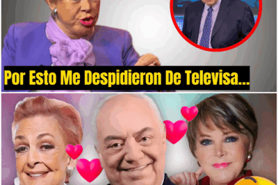 Lolita Ayala Rompe El Silencio A Sus 73 Años Sobre Televisa: La Revelación Que Dejó Al Mundo Conmocionado