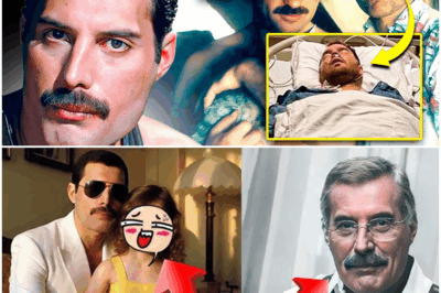 🔥 ¡Increíble revelación! ¡SECRETOS NUNCA REVELADOS de Freddie Mercury al FIN REVELADOS! Todo lo que desconocías del ícono del rock. 👀 🚫