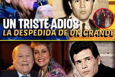 💥 ¡SORPRENDENTE DESPEDIDA DE LEO DAN! A sus 82 años, dice adiós y revela la conmovedora historia de su carrera que nadie esperaba. ¿Qué se esconde detrás de su éxito y qué lo llevó a tomar esta decisión? ¡La verdad nos dejó a todos sorprendidos!