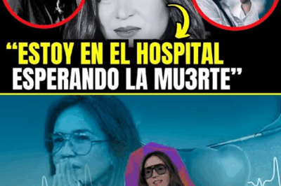 ¡Impactante! Yolanda Andrade revela la desgarradora verdad sobre su salud. 🔥😱 La conductora finalmente rompe el silencio y destapa su batalla secreta. Un giro inesperado que nadie vio venir y que ha dejado al mundo entero en shock.