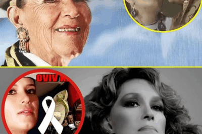 ¡Impactante confesión! Lucha Villa, a sus 88 años, revela los secretos más oscuros de su vida. ¿Qué detalles ocultos de su pasado salieron a la luz y sorprendieron a todos? ¡No podrás creerlo!🔥😱