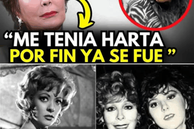 ¡Shock Total! La Familia De Silvia Pinal Mantuvo En Secreto Su Fallecimiento Durante Tres Meses ¡Y La Impactante Razón Sale Ahora A La Luz! 👇