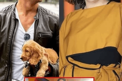 🚨 ¡REVELACIÓN IMPACTANTE! Capetillo Jr. y Lucerito confirman su noviazgo y revelan detalles de un compromiso inminente… ¡Las reacciones de Eduardo Capetillo y Biby Gaytán son conmovedoras y no pudieron evitar las lágrimas! 💖