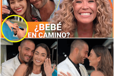 “¡Bomba en Despierta América! La boda de Claudia Martín y Carlos Said levanta rumores de embarazo: los detalles que sorprendieron a todos”