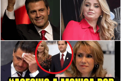 ¡SENSACIONAL! ENRIQUE PEÑA NIETO ELIMINA A MÓNICA PRETELINI DE SU VIDA TRAS SU MUERTE—LA VERDADERA HISTORIA QUE DEJA AL PAÍS EN SHOCK, ¿QUÉ PASÓ REALMENTE Y CÓMO IMPACTÓ SU FAMILIA Y CARRERA POLÍTICA?  En una revelación que ha dejado a la opinión pública sin palabras, el ex-presidente de México, Enrique Peña Nieto, ha sido señalado por eliminar de su vida a Mónica Pretelini, su exesposa, tras su trágica muerte. ¿Qué fue lo que realmente ocurrió entre ellos? ¿Por qué Peña Nieto tomó esa decisión tan drástica después de su fallecimiento? Este giro inesperado en la historia de su vida personal podría cambiar todo lo que se sabía sobre la política y la familia del expresidente. Descubre lo que realmente sucedió y cómo afectó su carrera política.