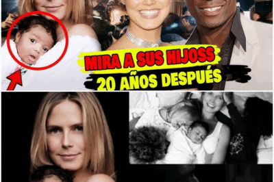 ¡SACUDIDO! HEIDI KLUM Y SEAL, UNA HISTORIA DE AMOR CON UN FINAL TRISTE—LO QUE PASÓ CON SUS TRES HIJOS HOY TE DEJARÁ EN SHOCK.  Heidi Klum y Seal vivieron una historia de amor que muchos pensaron que duraría para siempre, pero el final fue inesperado. Ahora, sus tres hijos han crecido y su vida continúa de una manera sorprendente. ¿Qué sucedió realmente en su relación y cómo viven ahora sus hijos? ¡Descubre la sorprendente verdad detrás de su historia de amor y el futuro de la familia….
