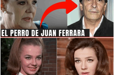 “¡Impactante! A los 80 Años, Alicia Bonet Finalmente Revela lo que Todos Sospechábamos: ¡La Verdad al Descubierto!”