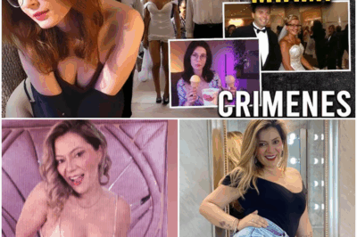 “El Macabro Misterio de la Heladera en Miami: Descubre el Horrible Secreto que Nadie Quería Revelar”