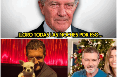 ¡La gran revelación! Antonio Banderas a los 64 años finalmente admite lo que todos sospechaban sobre su vida personal y profesional  En una entrevista explosiva que ha capturado la atención de medios de todo el mundo, el legendario actor español Antonio Banderas ha dejado a todos boquiabiertos al admitir finalmente lo que muchos ya intuían, pero que él nunca se había atrevido a decir abiertamente. A sus 64 años, Banderas decidió abrir su corazón y compartir con el público detalles sobre su vida personal, sus luchas internas y su carrera profesional, todo en un momento que muchos califican de “revelador”…..