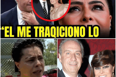 ¡SORPRENDENTE! EL TRÁGICO DIVORCIO DE YADIRA CARRILLO Y JUAN COLLADO REVELÓ LO QUE NADIE SE ATREVIÓ A DECIR—LA VERDAD QUE DEJA A TODOS ESTUPEFACTOS Y CAMBIA LA PERCEPCIÓN DE SU RELACIÓN.  La separación entre Yadira Carrillo y Juan Collado ha sacudido el mundo del entretenimiento mexicano. Lo que se pensaba que era un matrimonio sólido, ahora revela secretos ocultos y momentos inesperados. En medio de su doloroso divorcio, lo que finalmente se ha revelado sobre su relación está dejando a todos sorprendidos. ¡No te pierdas los detalles de esta desgarradora confesión…