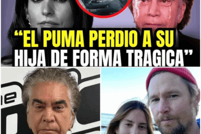 ¡SACUDIDO! GÉNESIS RODRÍGUEZ REVELA LA VERDAD DETRÁS DE SU VIDA Y TRÁGICO FINAL—LO QUE DIJO DEJA AL MUNDO EN SHOCK Y CAMBIA TODO LO QUE SABÍAN SOBRE ELLA Y SU CARRERA.  La actriz Génesis Rodríguez ha dejado a todos boquiabiertos con una confesión que cambia todo lo que pensábamos saber sobre su vida personal y profesional. Después de años de mantenerse en la sombra, la joven estrella comparte los detalles detrás de su trágico final, revelando lo que nadie imaginaba. ¡La historia detrás de su vida y carrera está más impactante de lo que esperábamos…