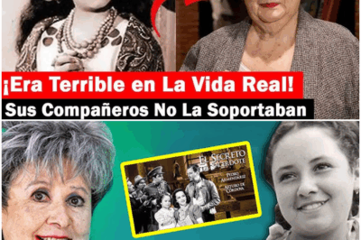 “¡Impactante! La Verdadera Historia Detrás de Evita Muñoz Chachita: Escándalos, Enfrentamientos y Misterios Nunca Contados”