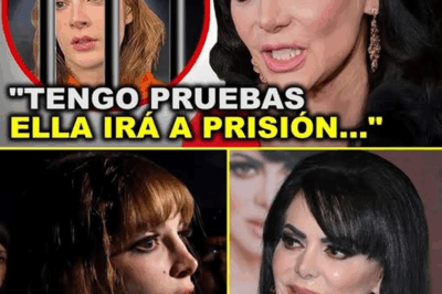 ¡La Guerra Está Declarada! Maribel Guardia Rompe el Silencio y Revela Pruebas Decisivas para Derrumbar a Imelda Tuñón”