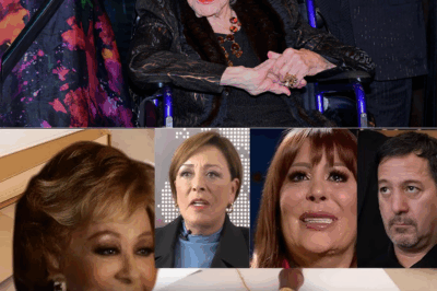 El Último Deseo de Silvia Pinal: Su Testamento Finalmente Es LeÃdo y Su Contenido Nos Deja Petrificados”