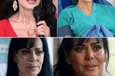 “¡Impactante! Maribel Guardia Confiesa que Tiene Cáncer: La Desgarradora Revelación que Nadie Esperaba”