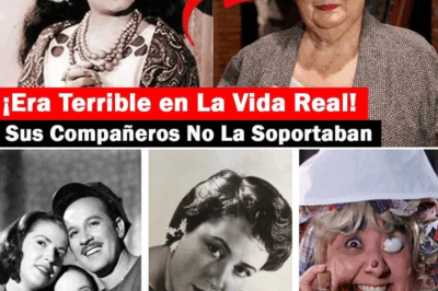 Evita Muñoz ‘Chachita’: La Historia No Contada de la Actriz que Conquistó a México y Desató Controversia”