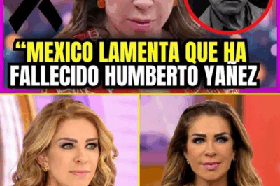 ¡Inesperado! Rocío Sánchez Azuara Habla de la Cancelación de su Programa y Confirma lo Que Nadie Imaginaba 😱”