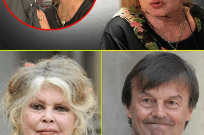 Brigitte Bardot revela el amor de su vida a los 90 años: La confesión que nos deja sin aliento”