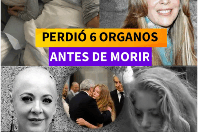 ¡Increíble! Todo sobre la trágica muerte de Edith González: La historia que nunca te habían contado sobre su vida y su partida.