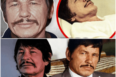 “¡IncreÃble revelación! A los 81 años, Charles Bronson nombra a las cinco personas que más odia: lo que dijo dejó a todos sorprendidos.”