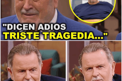 😱¡INCREÍBLES REVELACIONES! Raúl de Molina finalmente rompe el silencio a sus casi 70 años y revela su triste realidad. ¡La verdad te sorprenderá! 💔🎤