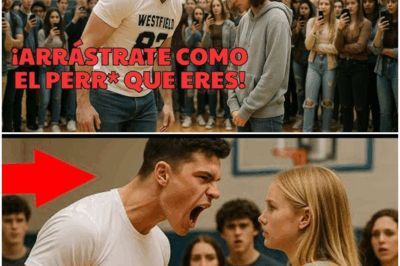 “¡Impactante! Los Matones la Humillaron Sin Saber que Ella Era la Campeona de Boxeo Clandestino: ¡Lo que Sucedió Después Fue Inesperado!”