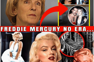 Mary Austin Rompe su Silencio a los 74 Años: La Mujer que Fue Escondida en la Sombra de Freddie Mercury