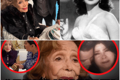 ¡Impactante! A los 98 Años, María Victoria Finalmente Confirma lo que Todos Pensábamos y Nos Deja Petrificados
