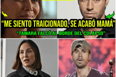 ¡Explosiva Revelación! La Ruptura Definitiva de Enrique Iglesias con Isabel Preysler y Tamara Falcó: ¡”No os soporto”!
