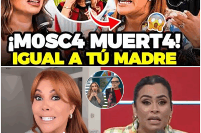 “¡Escándalo total! Magaly Medina explota contra Ethel Pozo por humillar a Carlos Cacho: lo que dijo dejó a todos sorprendidos.”