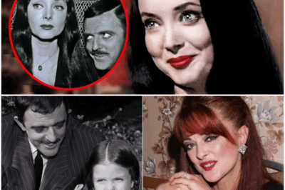 “60 Años de ‘Los Locos Addams’: Finalmente Se Revela la Verdad Detrás de la Famosa Familia ¡Todo lo Que Nadie Te Contó!”