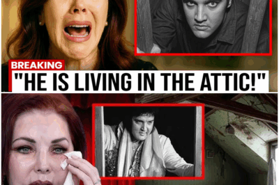 “¡Impactante revelación! El ático de Elvis Presley se abrió después de 48 años: ¡Lo que encontraron dentro te dejará sin aliento! 😱👀”