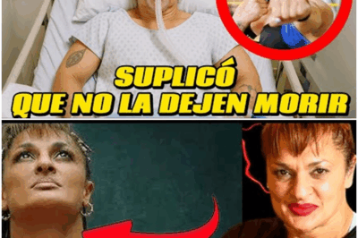 “¡DRAMÁTICA REVELACIÓN! ‘¡NO ME DEJEN MORIR!’ La súplica de Alejandra ‘La Locomotora’ antes de su trágico final: ¡Lo que nunca imaginamos!”