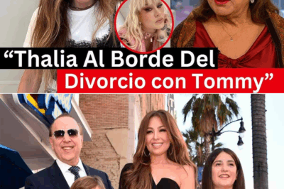 Expulsada, infiel y millonaria: así describen ahora a Thalía….