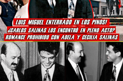 🚨 Revelación Explosiva: La Relación Entre Luis Miguel…