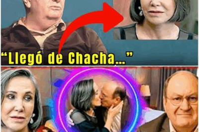 ¡La Verdad Sale a la Luz! 😱 Enrique Segoviano rompe el silencio…