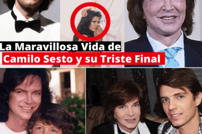 Camilo Sesto: la maravillosa vida de un ídolo y el triste final que nadie imaginó….