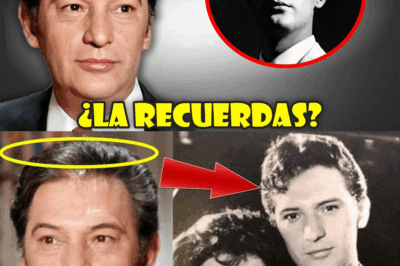 Enrique Lizalde: la puerta que juró no volver a abrir….