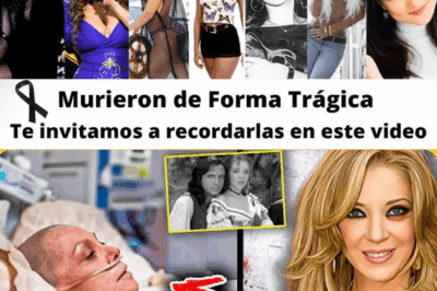 Más allá del glamour de las telenovelas, la tragedia….