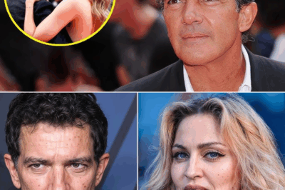 A los 63 años, Antonio Banderas finalmente confiesa….