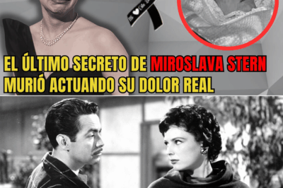 Miroslava Stern, la enigmática estrella del cine…