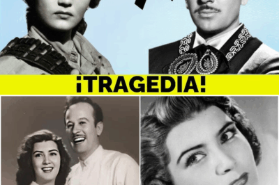 “Ya no puedo callarlo”: Irma Dorantes cuenta…