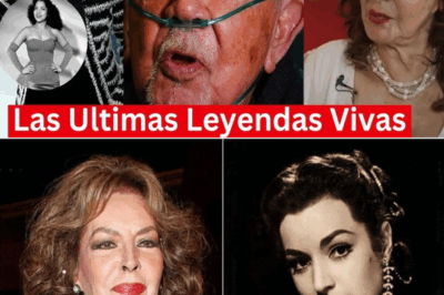 🔥👴👵 Íconos eternos: descubre quiénes son los actores