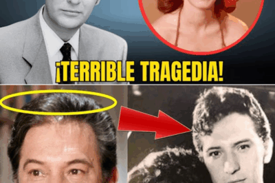 Enrique Lizalde, ícono de la televisión….