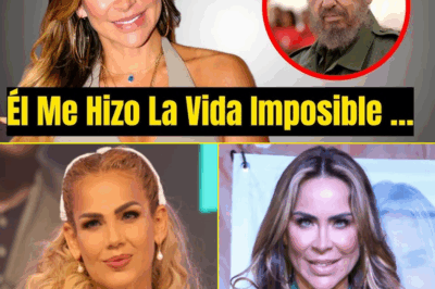 Después de años de especulación y rumores, Aylín Mújica…